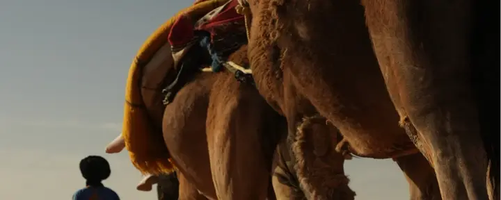 9 Giorni trova la tua forza interiore Yoga & esplora il Ritiro nel Deserto