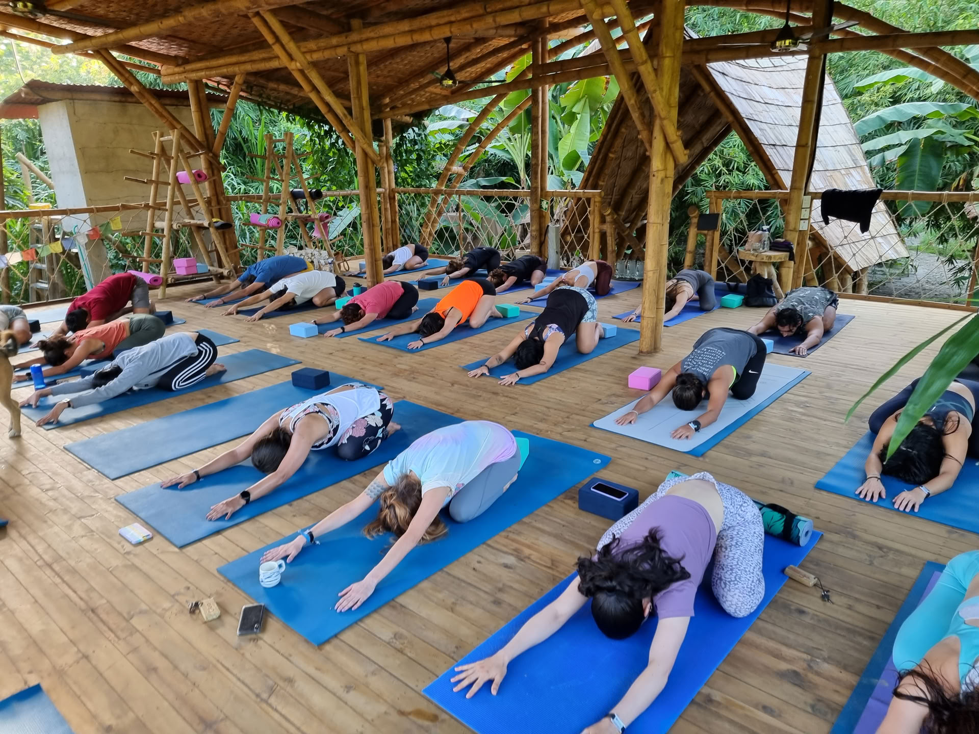 Formazione insegnanti di yoga 200 ore