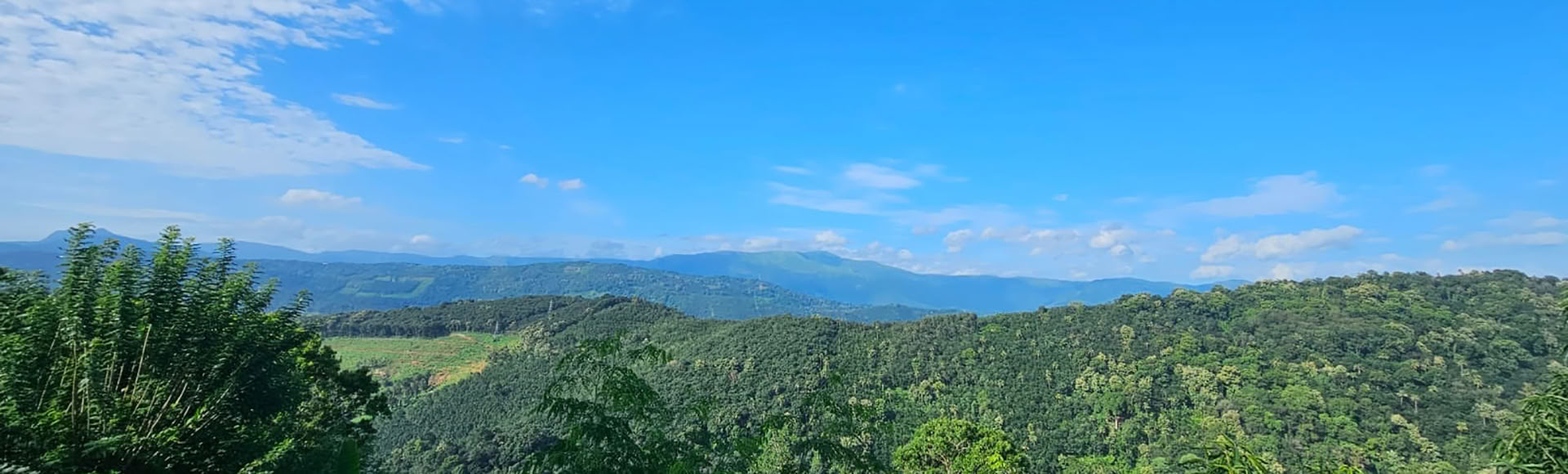 PROGRAMMA DI SOLLIEVO DALLO STRESS DI 14 O 21 GIORNI
