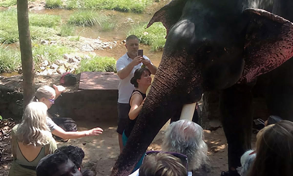 TRATTAMENTO PANCHAKARMA DI 28 GIORNI IN KERALA