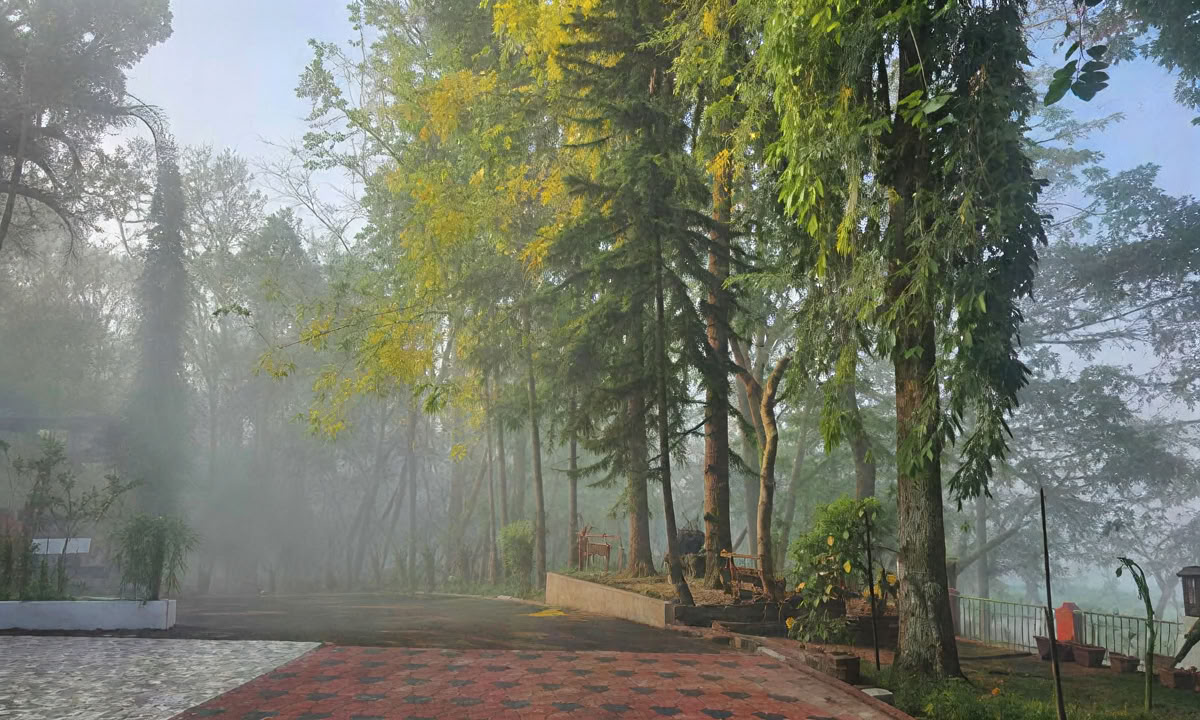 TRATTAMENTO PANCHAKARMA DI 28 GIORNI IN KERALA