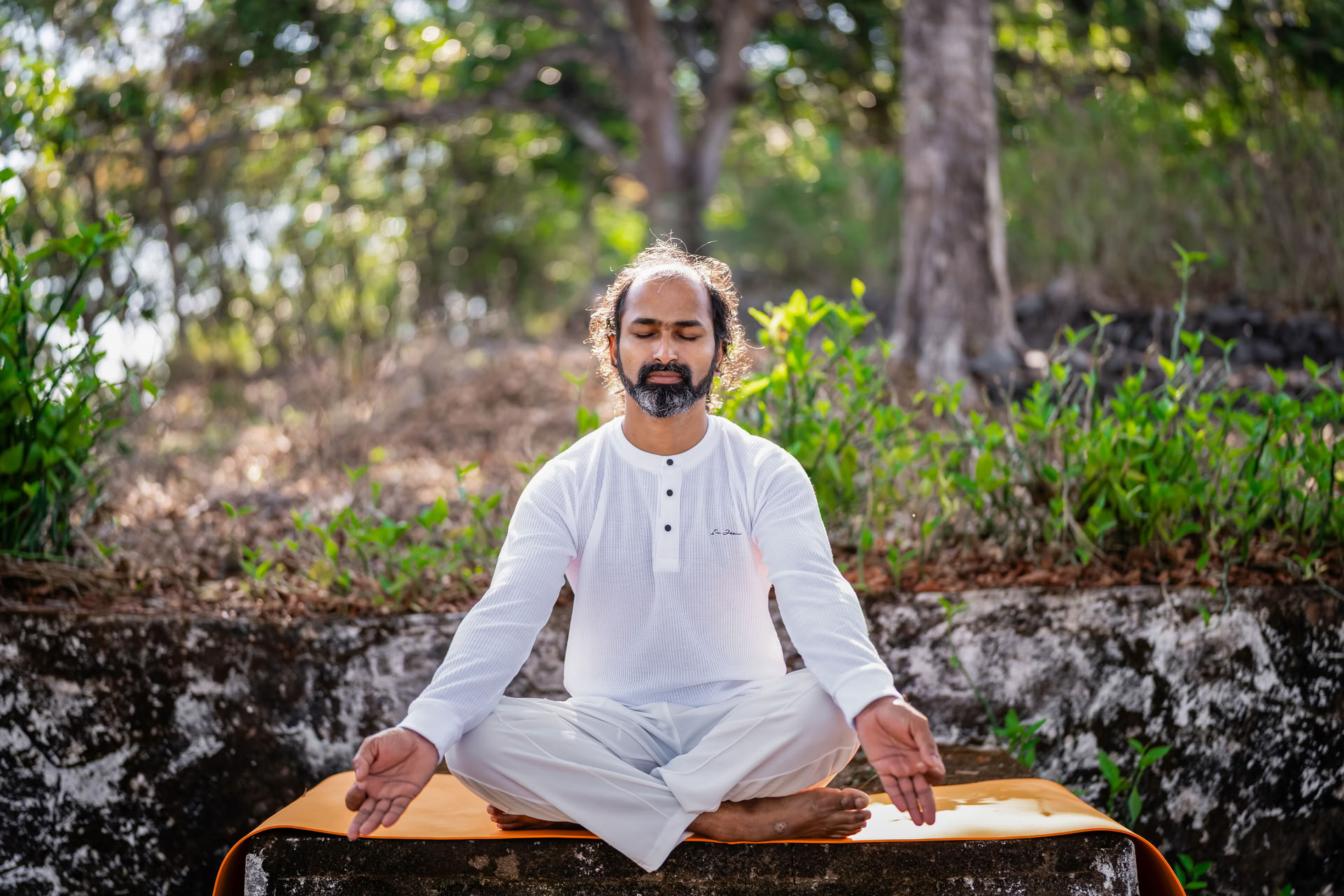 Corso di Yoga in Kerala