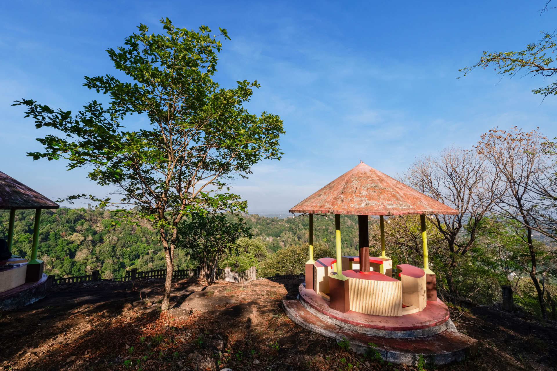 Corso di Yoga in Kerala