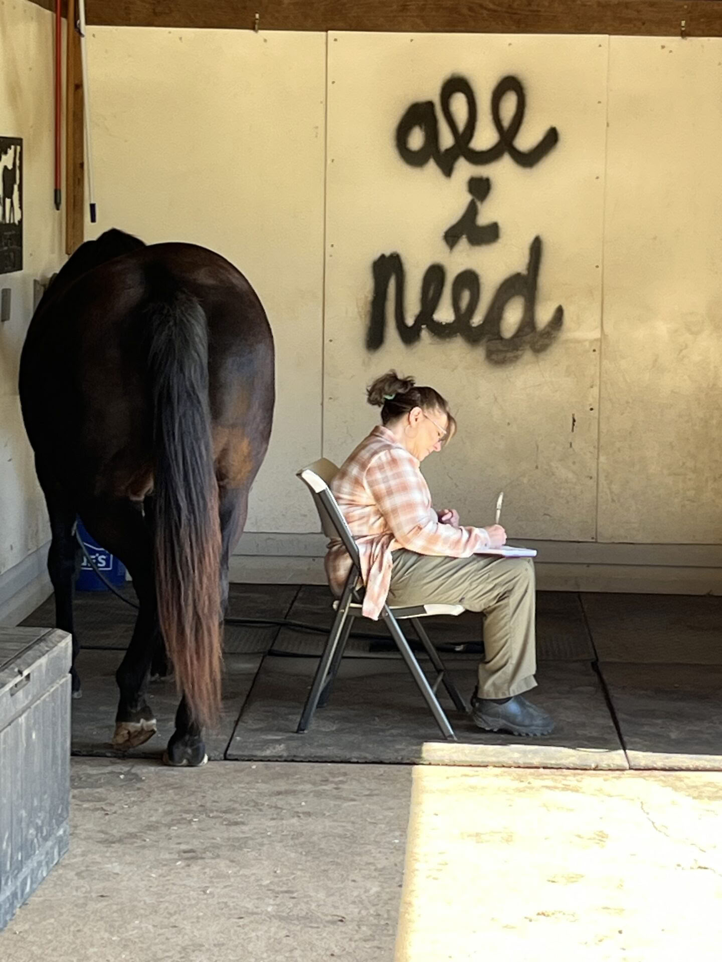 Ritiro per donne a cavallo di apprendimento esperienziale di livello superiore per i partecipanti di ritorno di 4 giorni