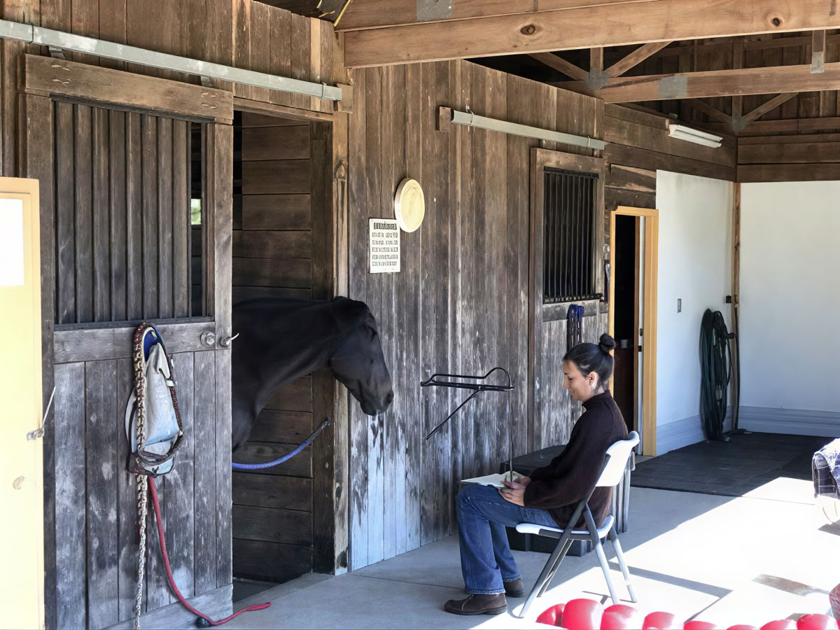 Ritiro per donne a cavallo di apprendimento esperienziale di livello superiore per i partecipanti di ritorno di 4 giorni