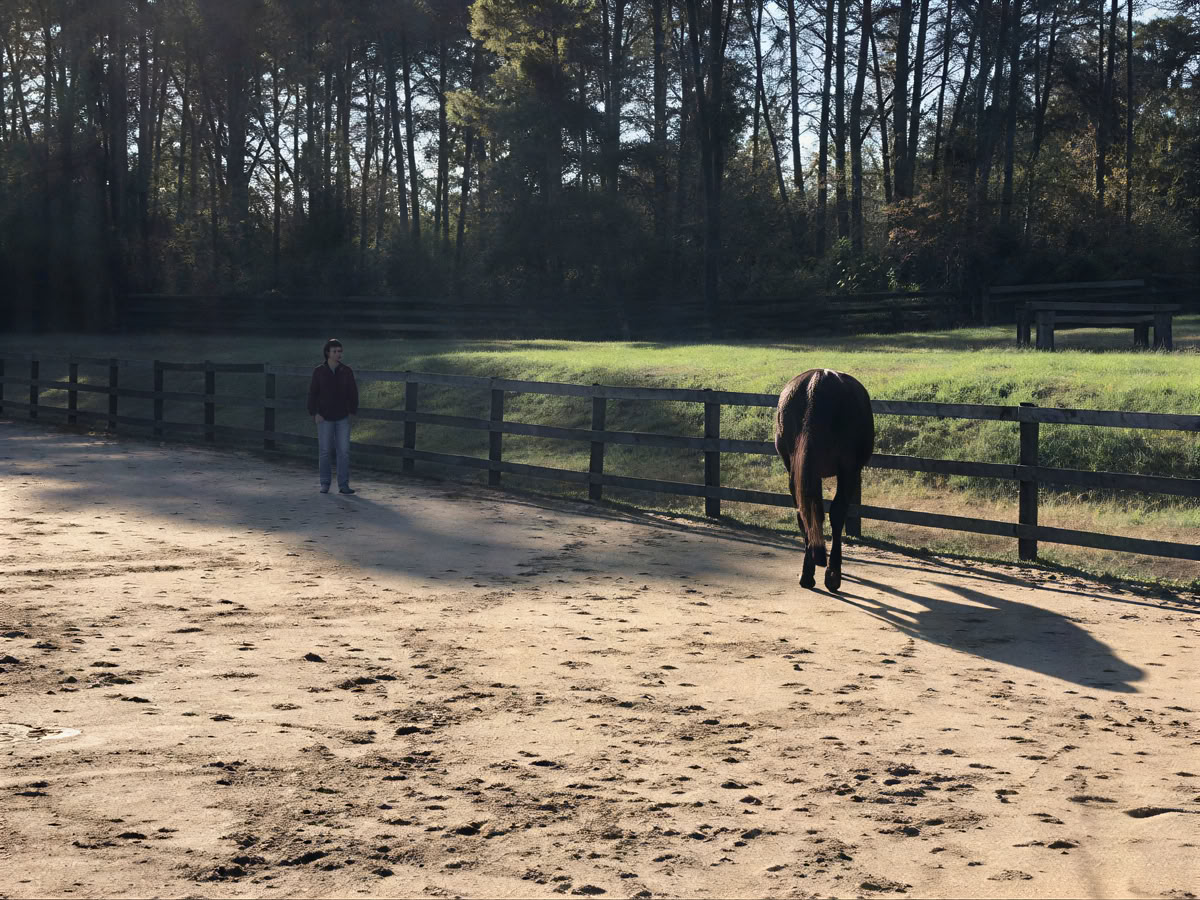 Ritiro per donne a cavallo di apprendimento esperienziale di livello superiore per i partecipanti di ritorno di 4 giorni