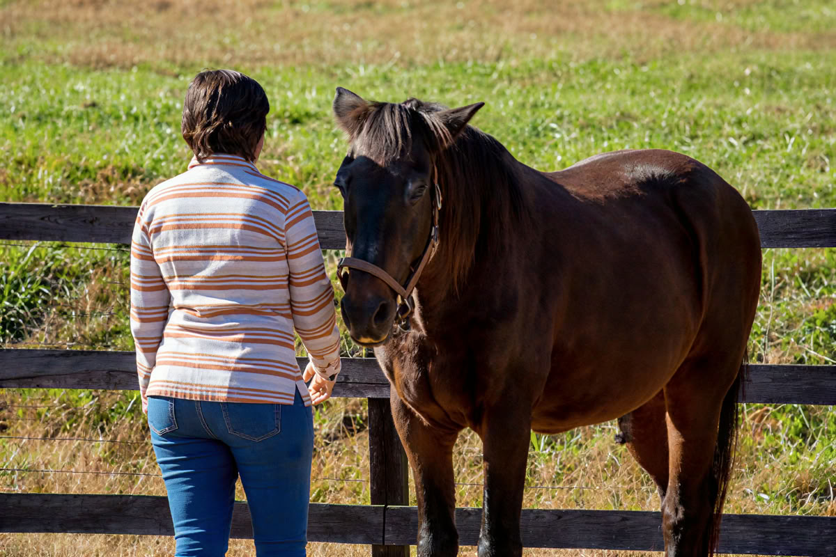 Ritiro per donne a cavallo di apprendimento esperienziale di livello superiore per i partecipanti di ritorno di 4 giorni