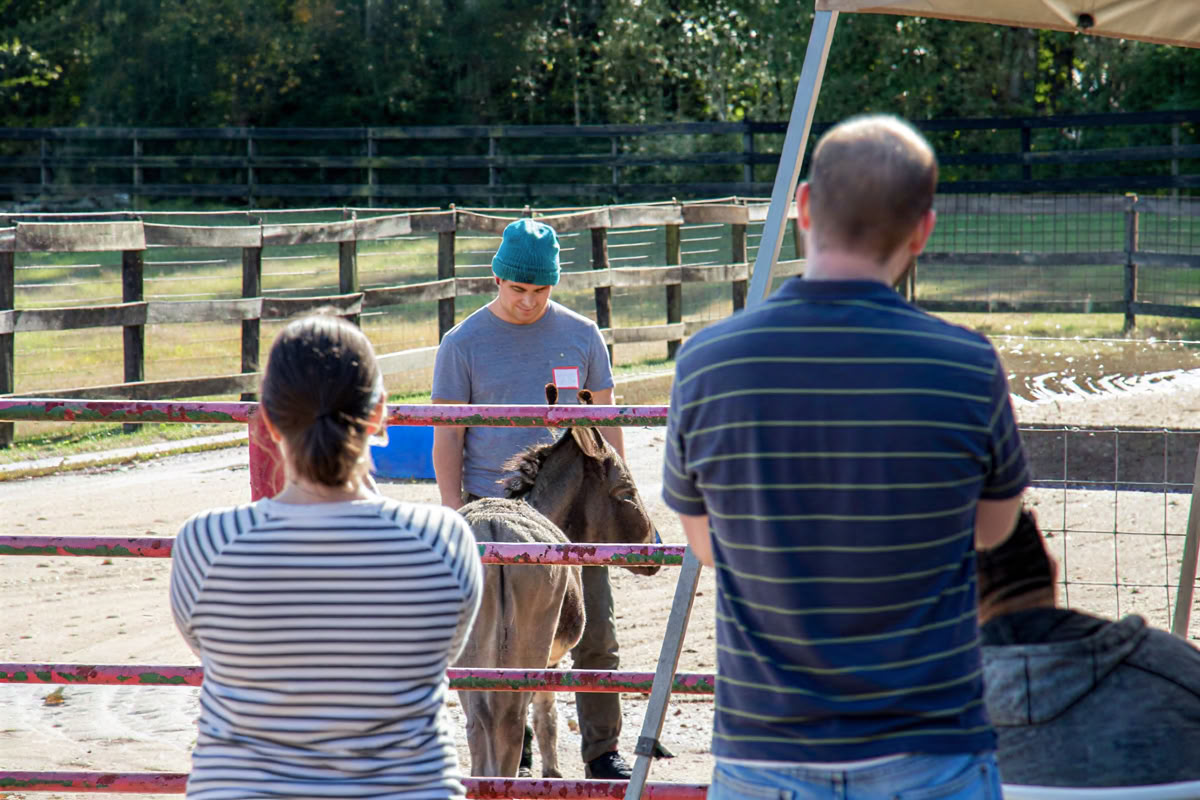 Horse Harmony: Un ritiro di 3 giorni per l’equilibrio e il benessere delle donne