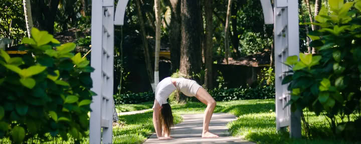 Benessere digestivo e salute intestinale con la Yoga Terapia Agni Dipanam Yoga Chikitsa