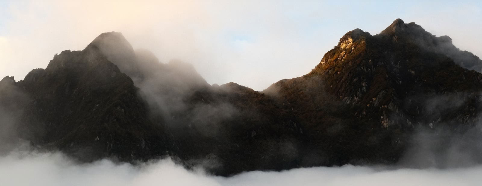 Ritiro di Ayahuasca di 9 Giorni