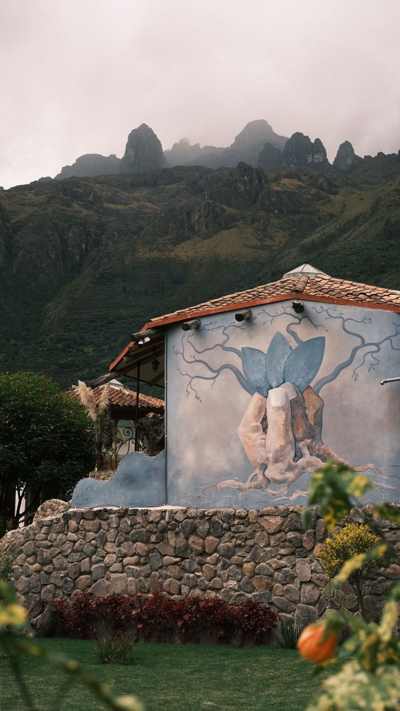 Ritiro di Ayahuasca di 9 giorni