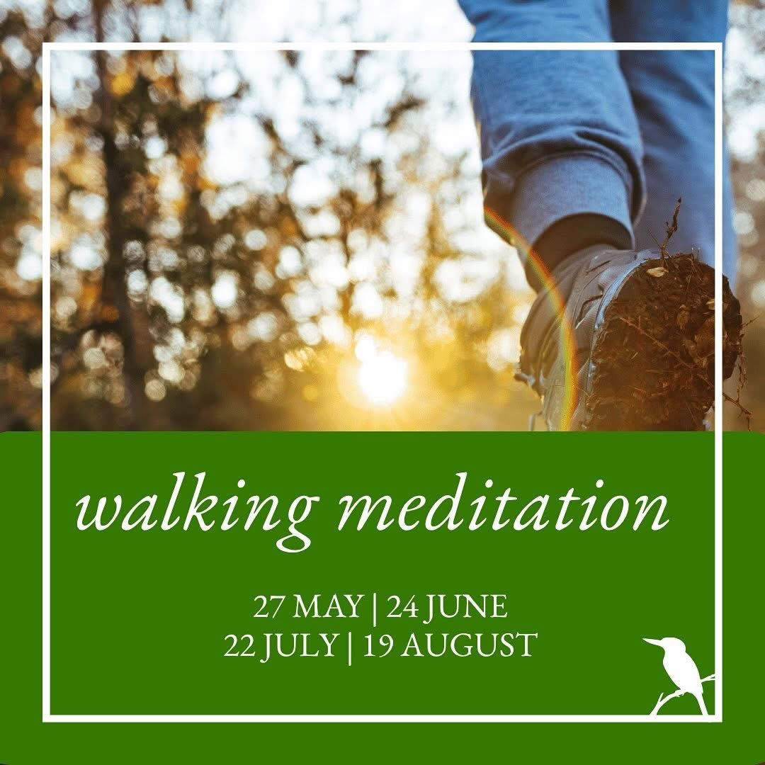Wellbeing Wednesdays - Meditazione Camminata
