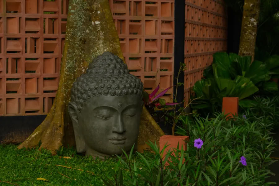 Yoga e Meditazione