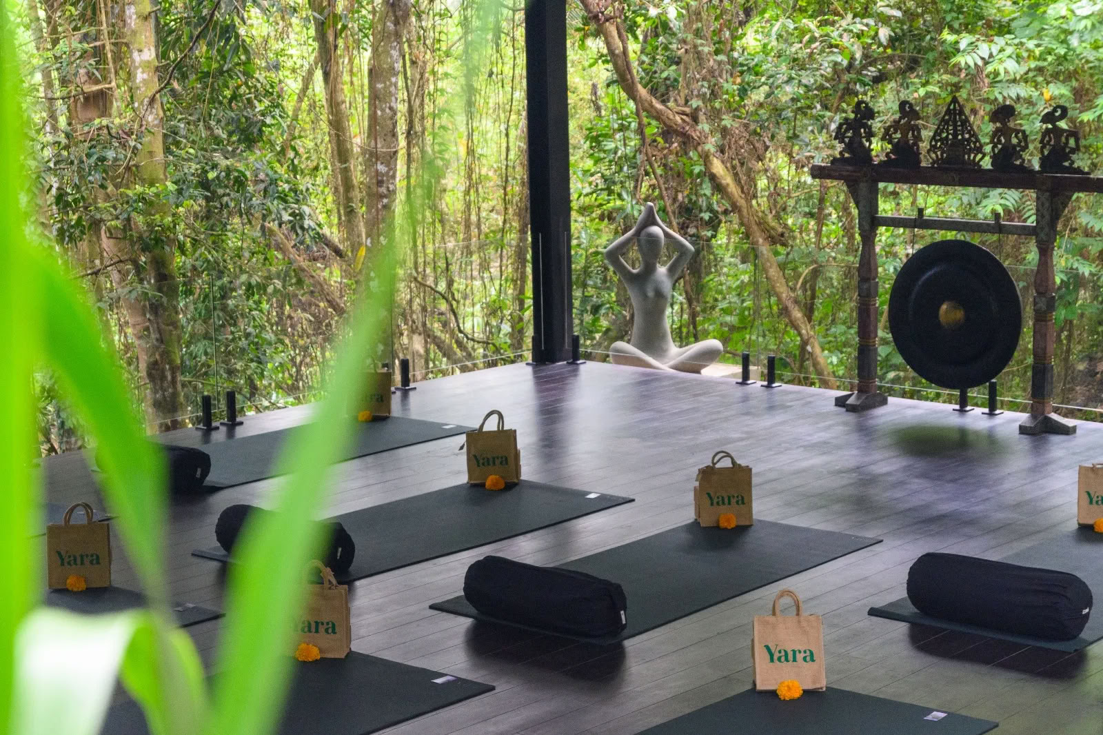 Yoga e Meditazione