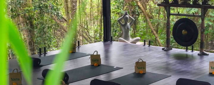 Yoga e Meditazione