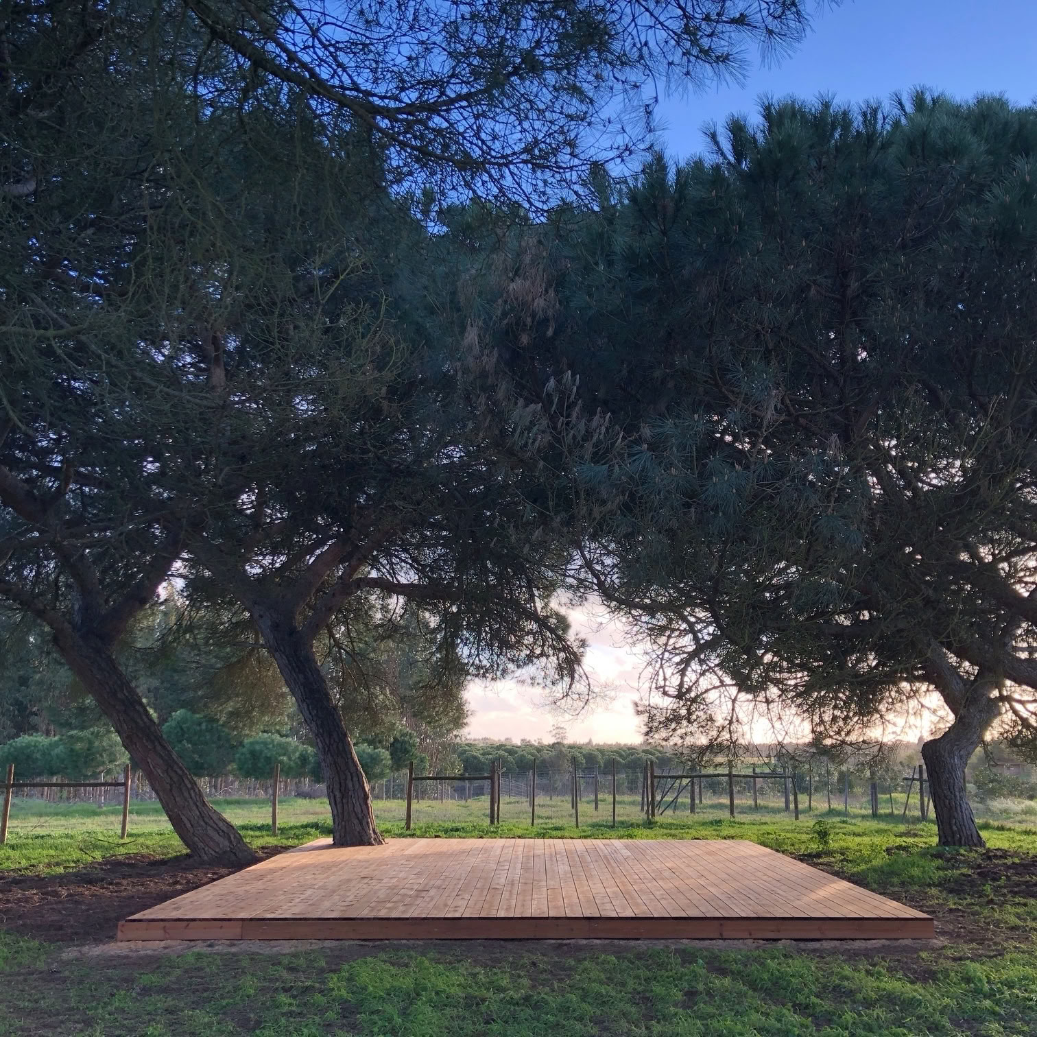 Ritiro Yoga Riconnessione Portogallo