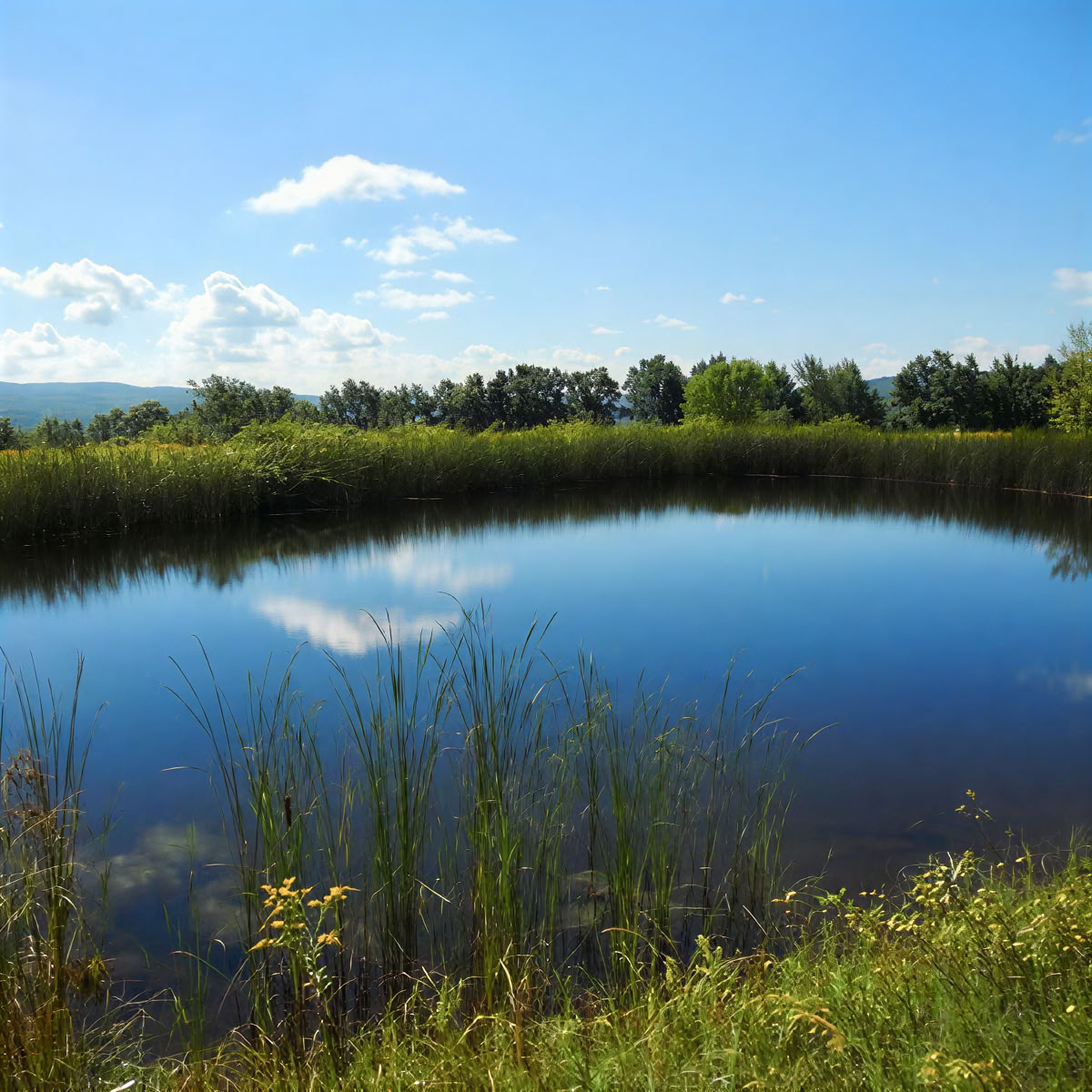Ritiro del sabato con opzione weekend