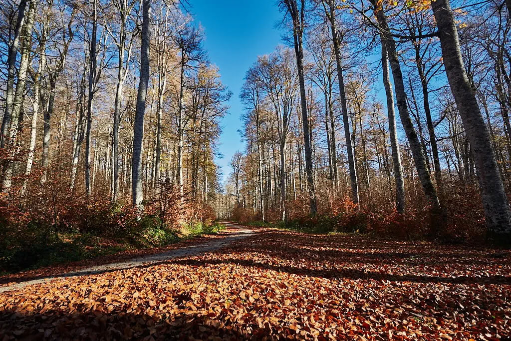 Ritiro di meditazione e yoga: la fuga accogliente di novembre