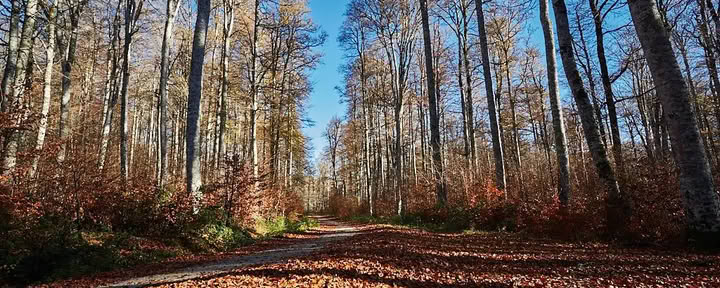 Ritiro di meditazione e yoga: la fuga accogliente di novembre