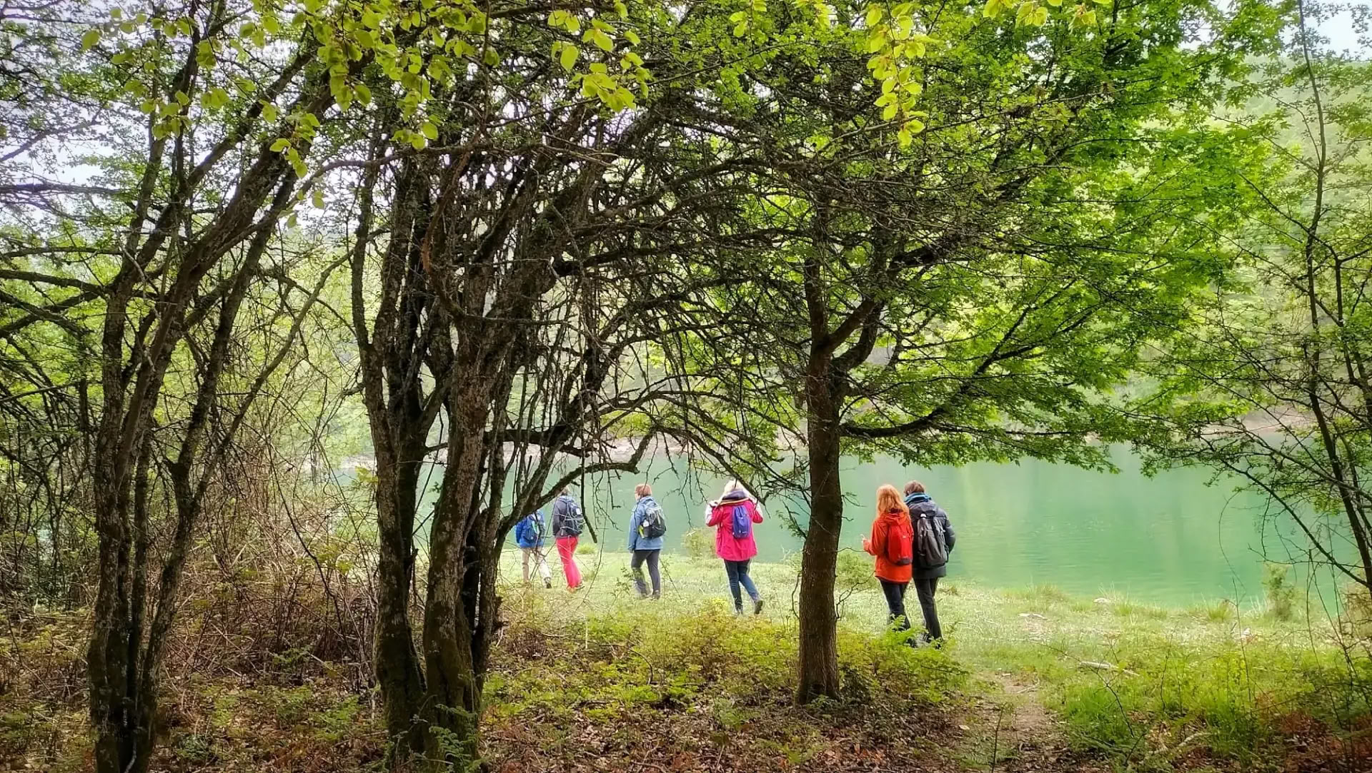 Santuario di Yoga e Meditazione: un ritiro avvolgente nella foresta di Irati