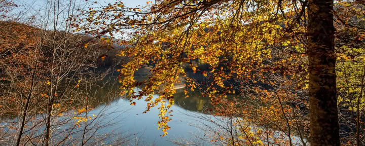 Santuario di Yoga e Meditazione: un ritiro avvolgente nella foresta di Irati
