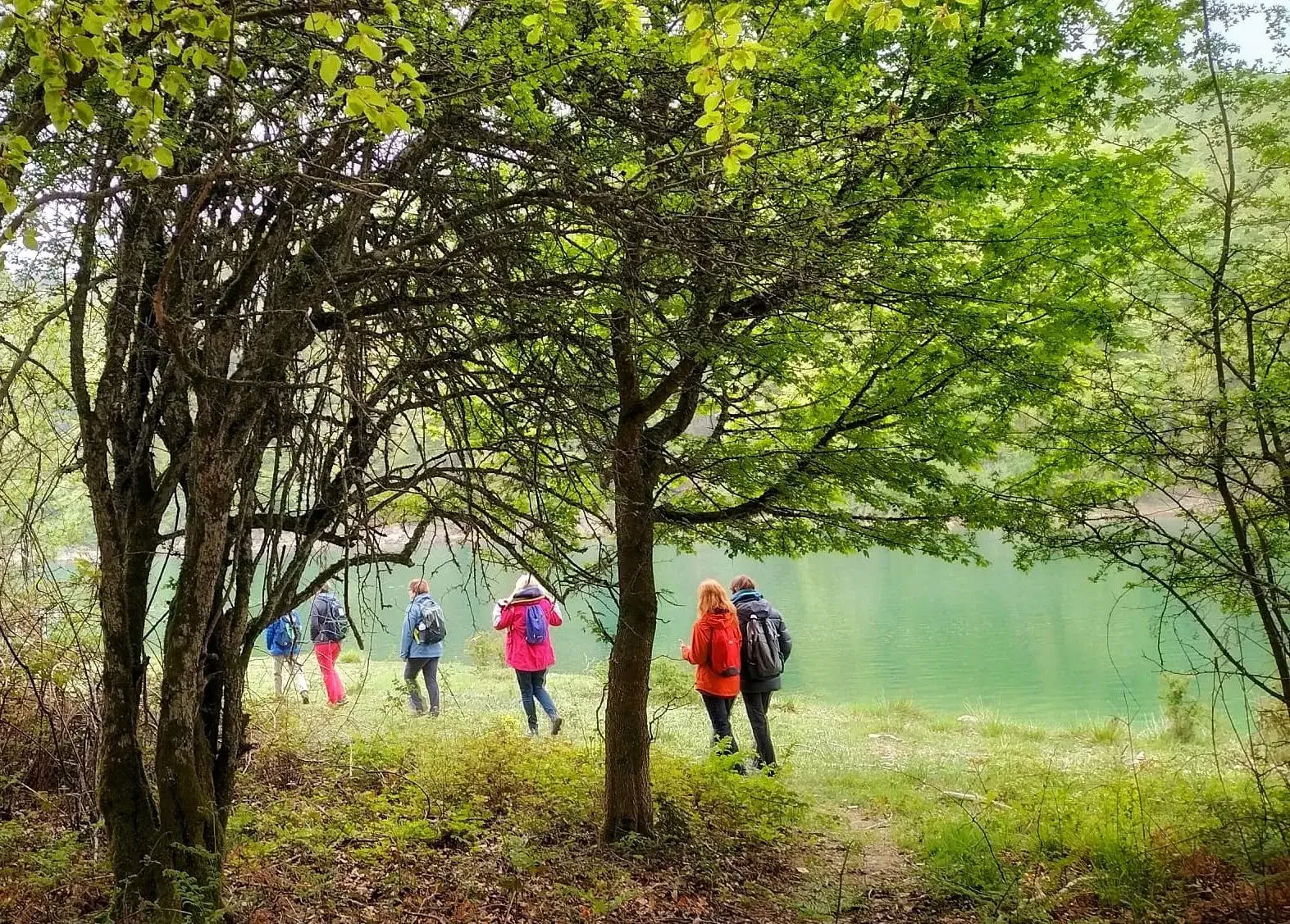 Ritiro di Yoga di Ottobre: L’Esperienza della Foresta Dorata