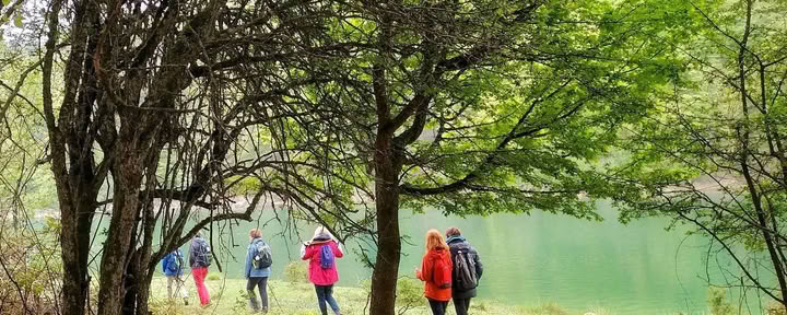 Rinnova e Riconnettiti: Ritiro di Yoga e Meditazione nei Pirenei