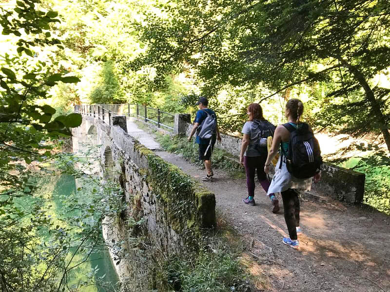 Ritiro Yoga per il Ponte di Maggio: Foresta e Rinnovamento