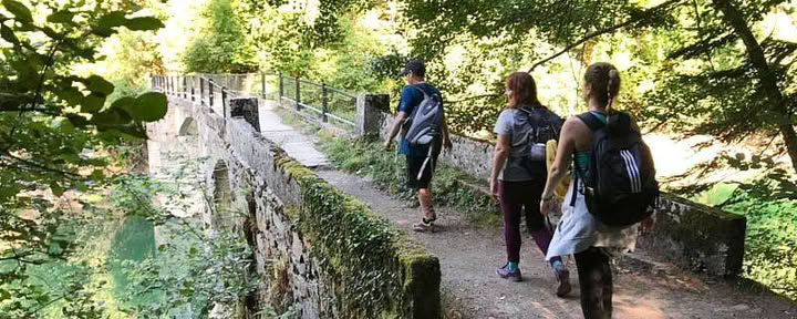 Ritiro Yoga per il Ponte di Maggio: Foresta e Rinnovamento
