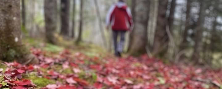Riforma il tuo focus: un ritiro di fotografia consapevole