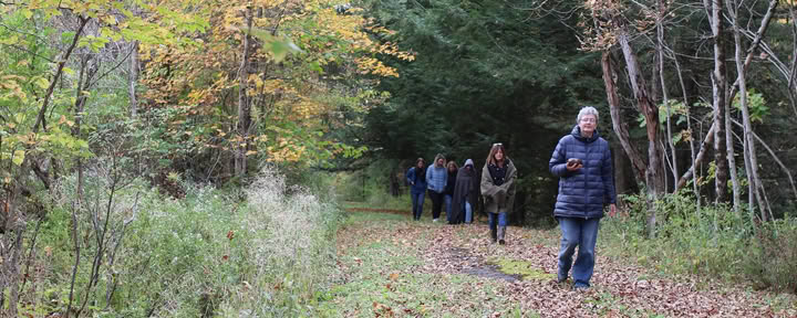Bagno nella foresta