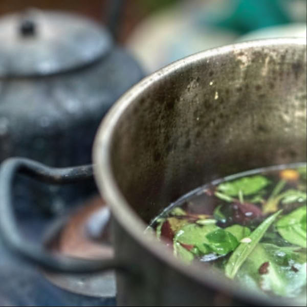Ritiro di Ayahuasca a Iquitos, Perù