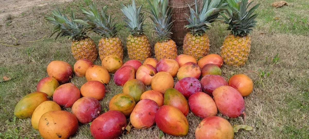 Ritorno al Paradiso ritiro benessere