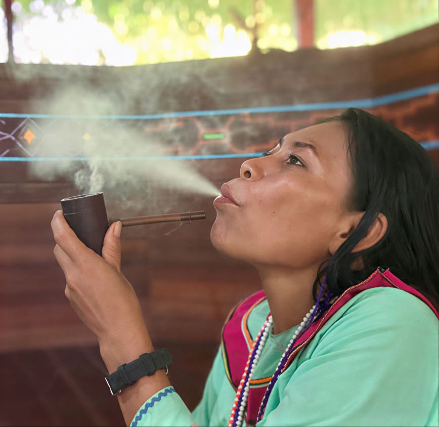 Introduzione di 5 giorni all’Ayahuasca e alla medicina delle piante amazzoniche