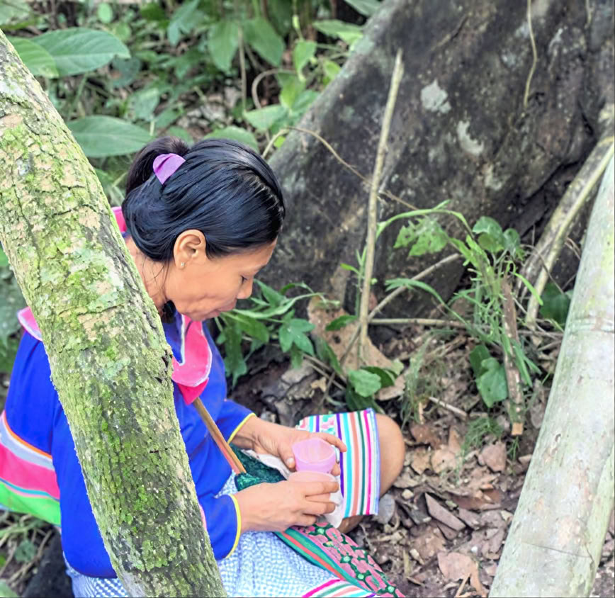 Introduzione di 5 giorni all’Ayahuasca e alla medicina delle piante amazzoniche