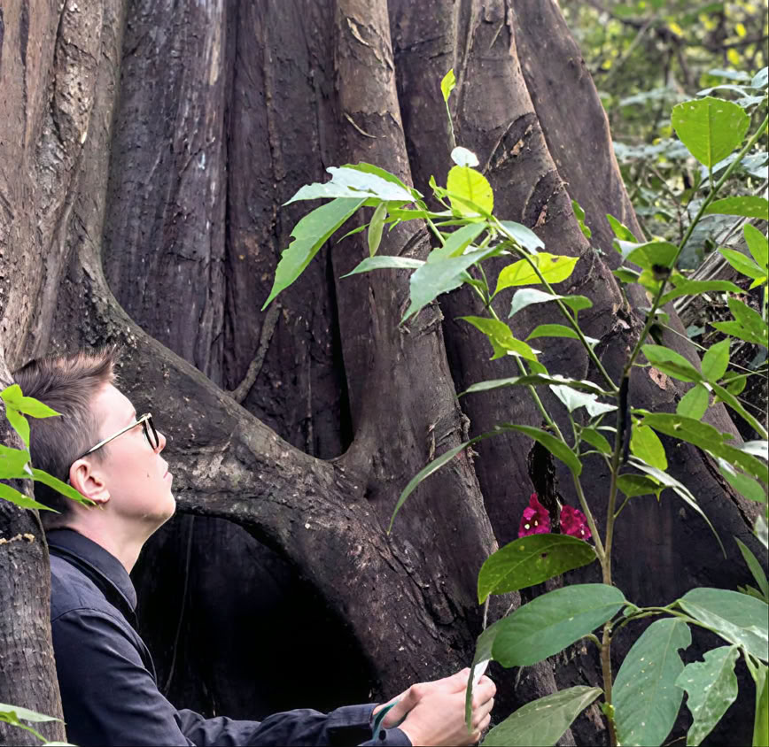 Introduzione di 5 giorni all’Ayahuasca e alla medicina delle piante amazzoniche