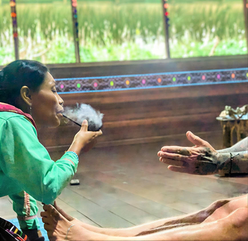 Introduzione di 5 giorni all’Ayahuasca e alla medicina delle piante amazzoniche
