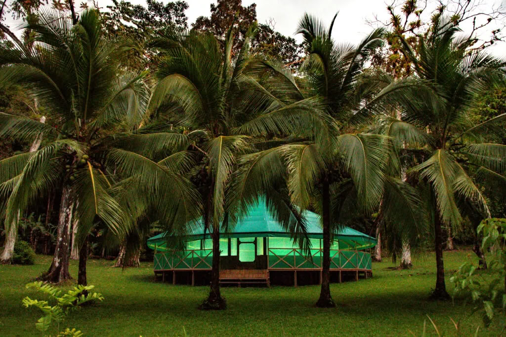 Workshop di Ayahuasca