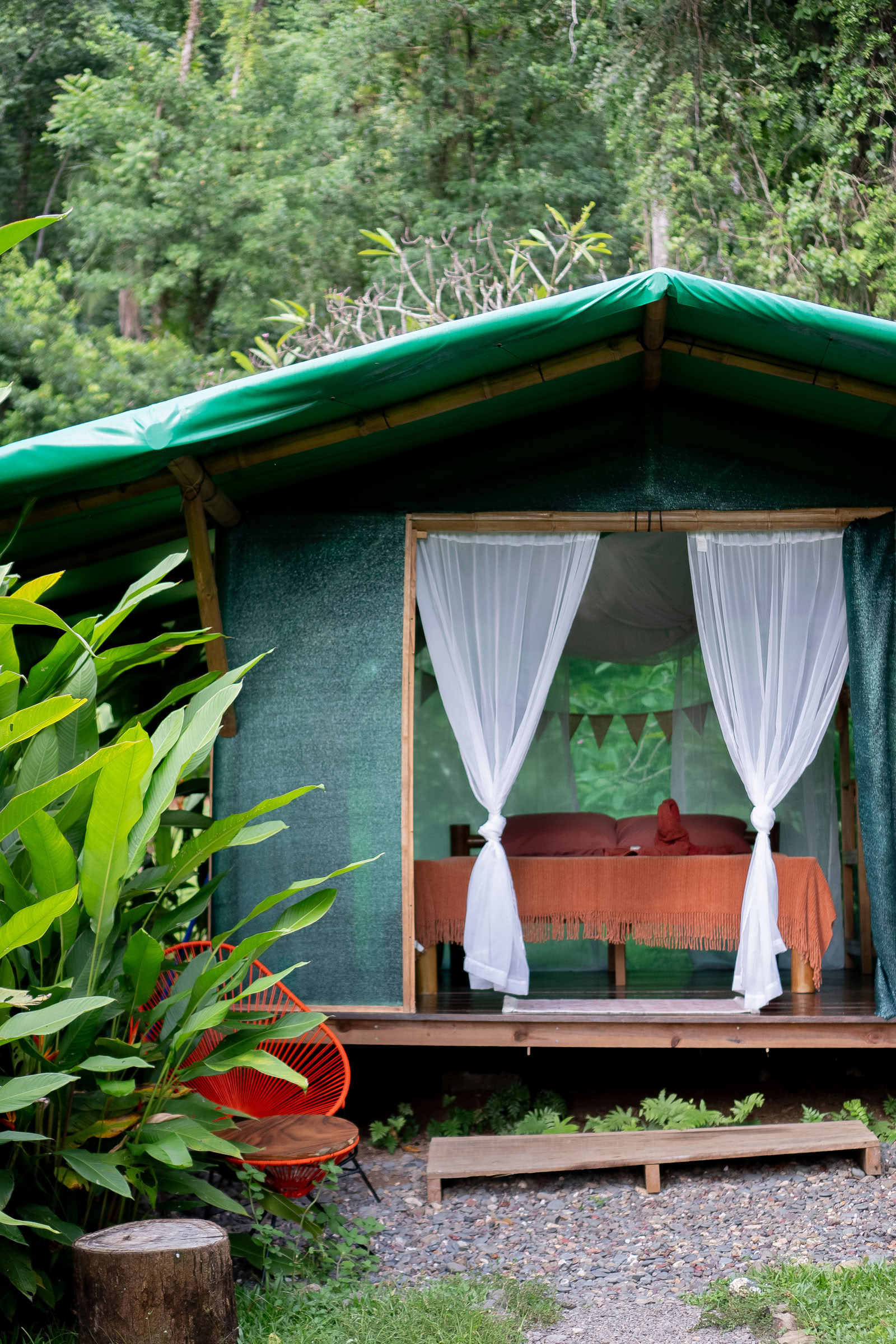 Workshop di Ayahuasca