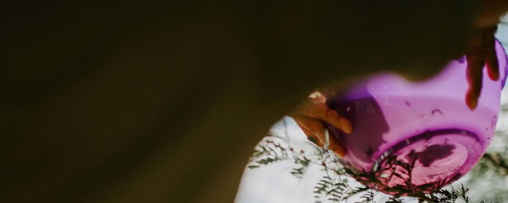 Workshop di Ayahuasca - 8 Giorni