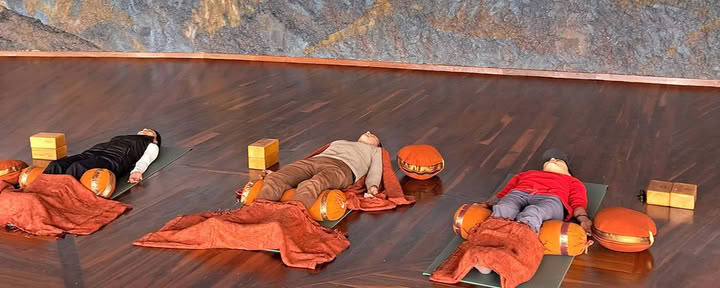 Programma Yoga per la Vita