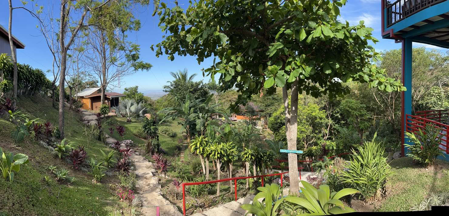 Ritiro Spirituale di Ayahuasca in Costa Rica