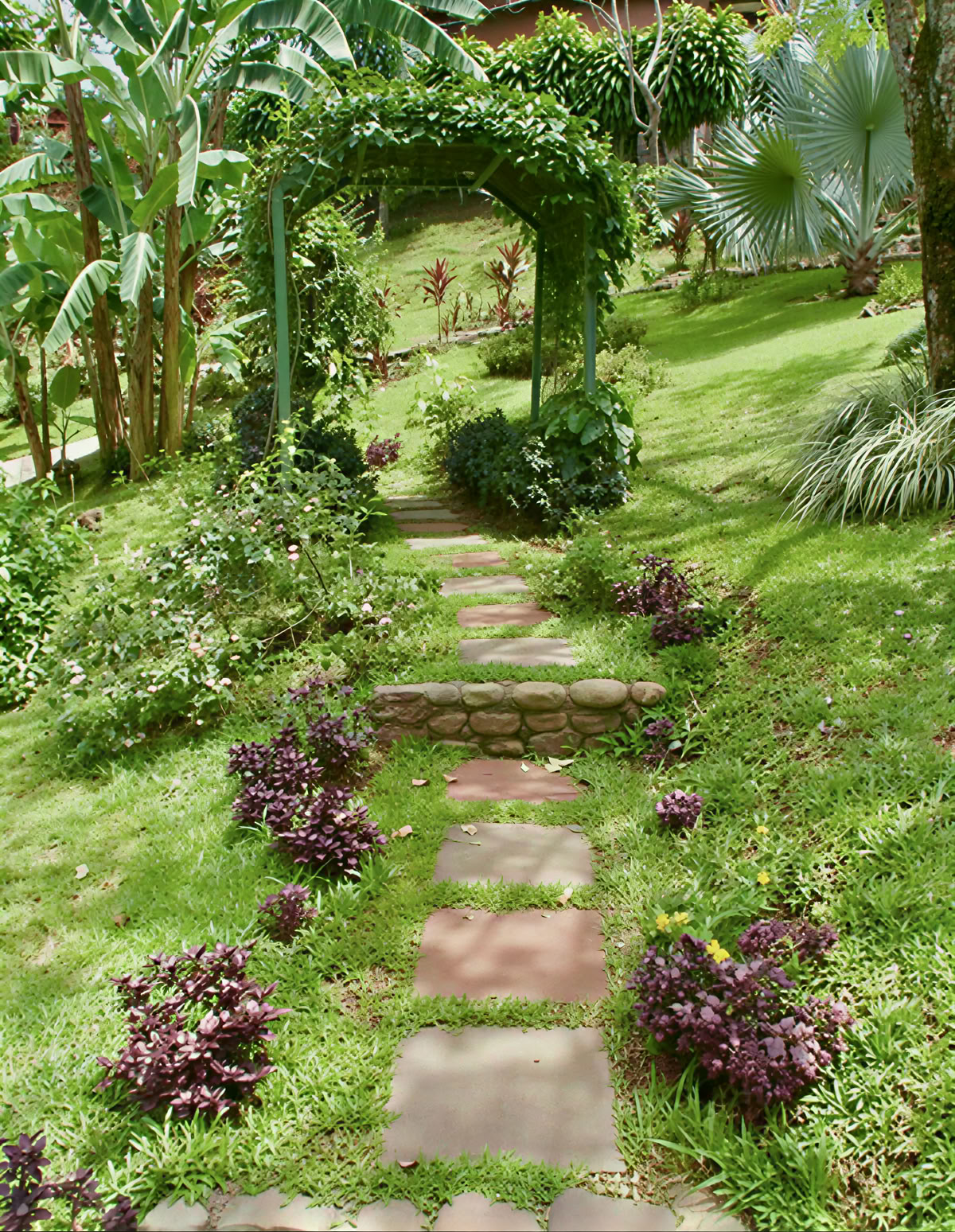Ritiro Spirituale di Ayahuasca in Costa Rica