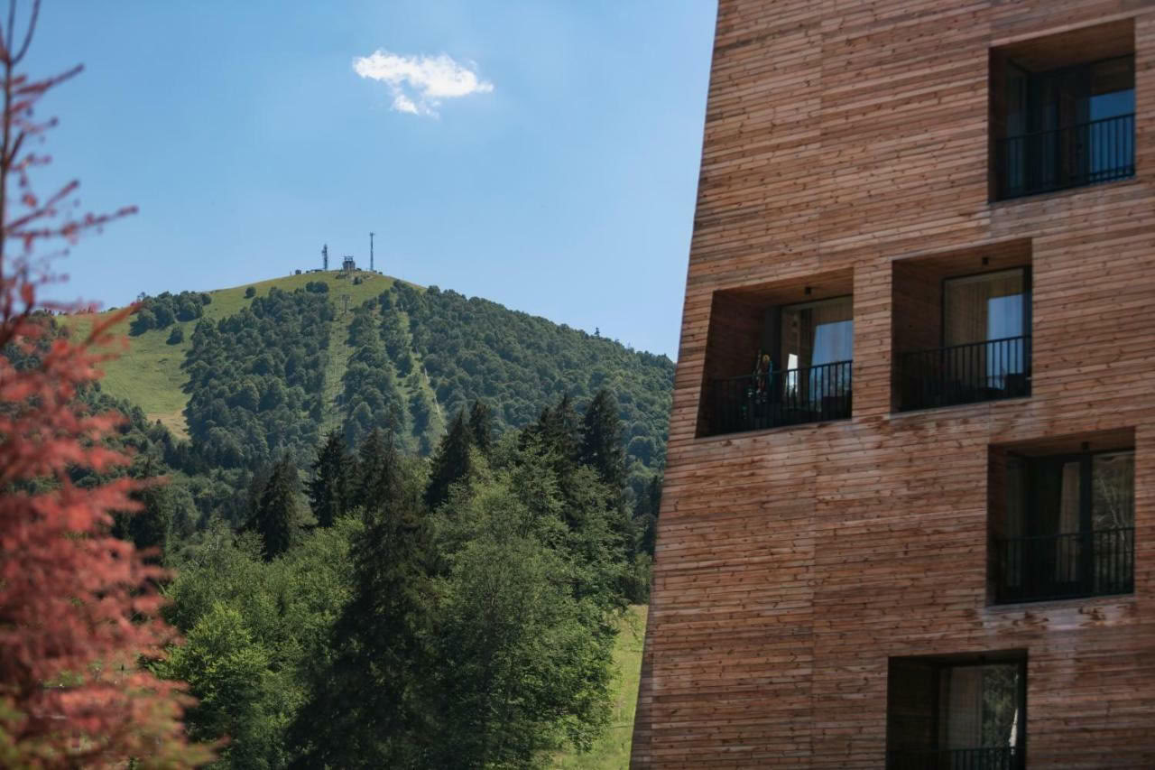 Ritiro Yoga del Fine Settimana per Radicarsi