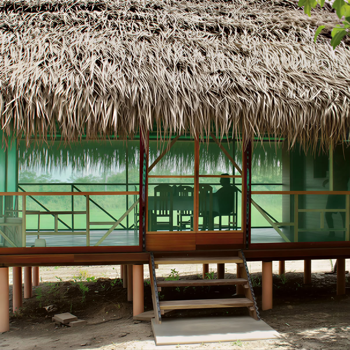 3 settimane di ritiro di ayahuasca in Perù