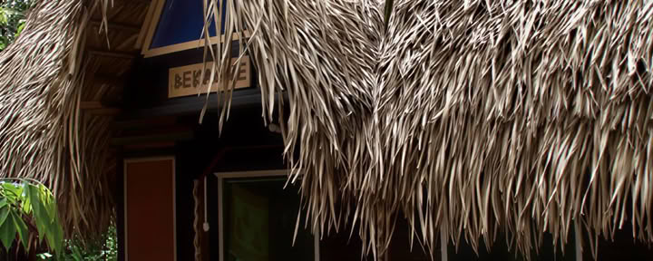 1 settimana di trasformazione con ayahuasca