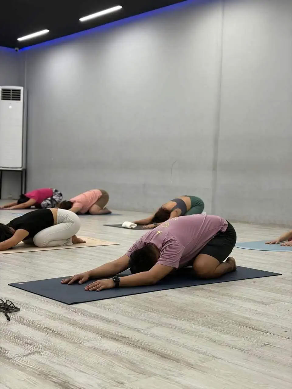 Formazione Insegnanti di Yoga di 100 Ore a Rishikesh