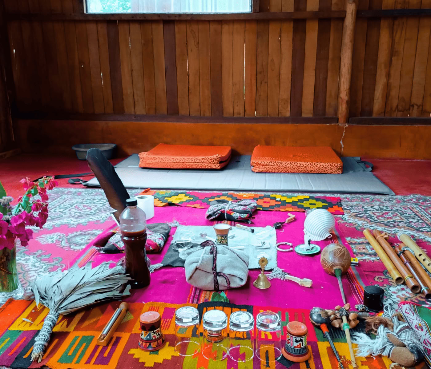 7 giorni di ritiro di Ayahuasca + Machupicchu