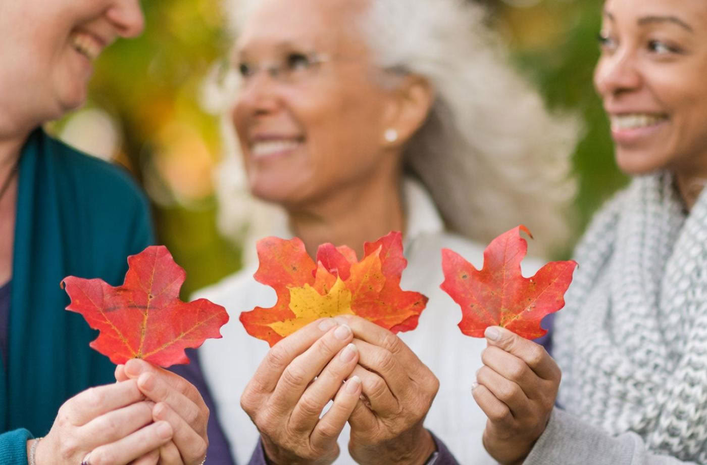 Fondamenti dell’Ayurveda da 200 Ore
