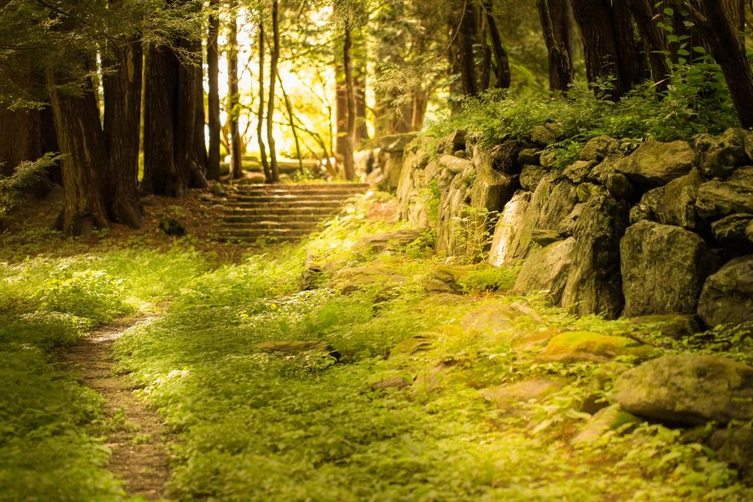 La Terra è Medicina